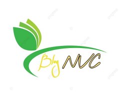 blog nvc